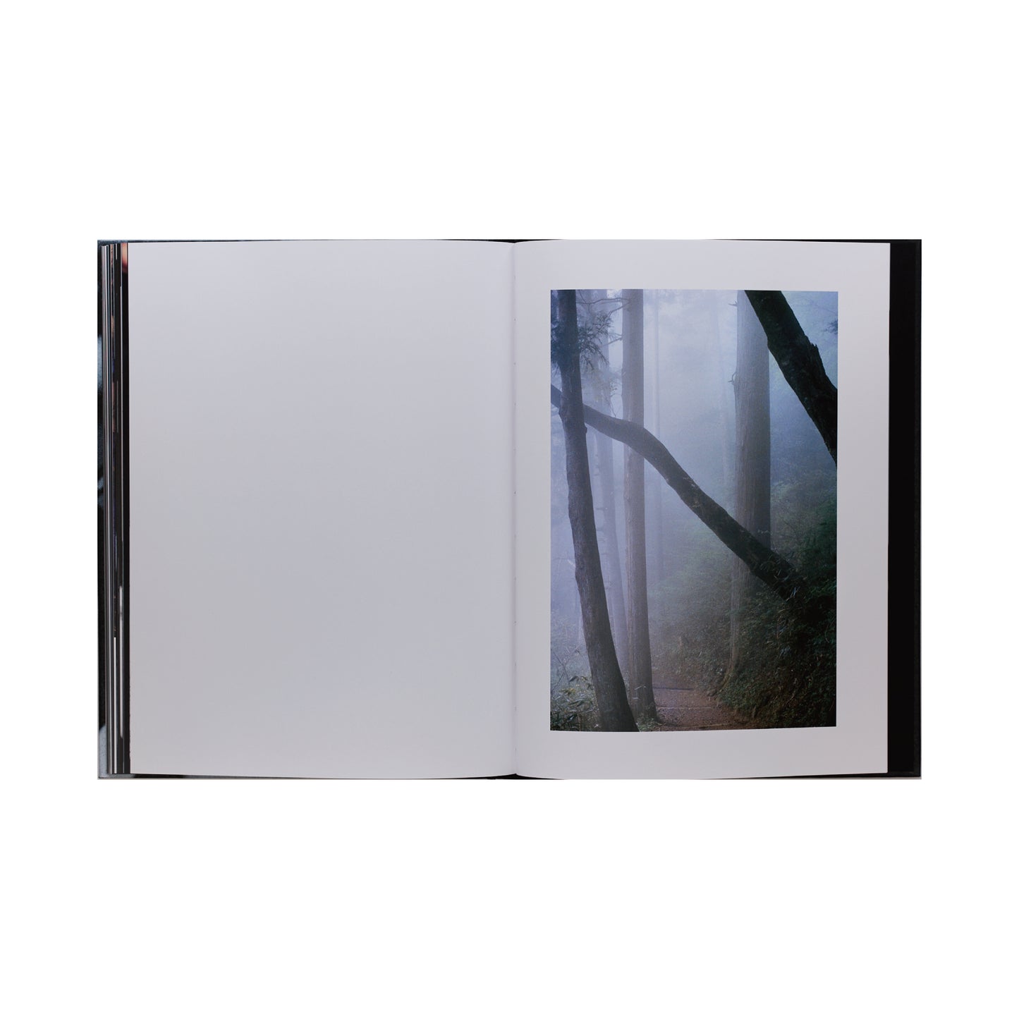 SHADOWS - John Clayton Lee