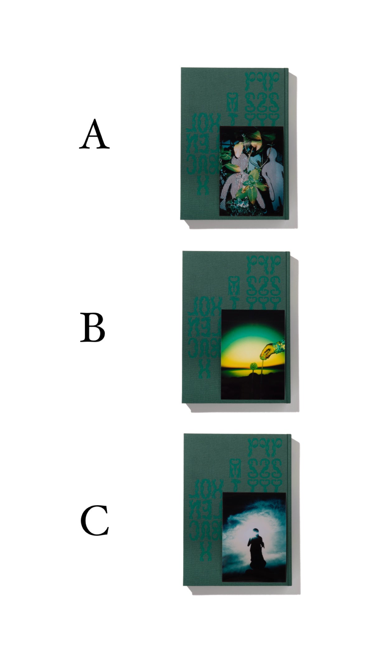 PSY LYF - Misha Hollenbach