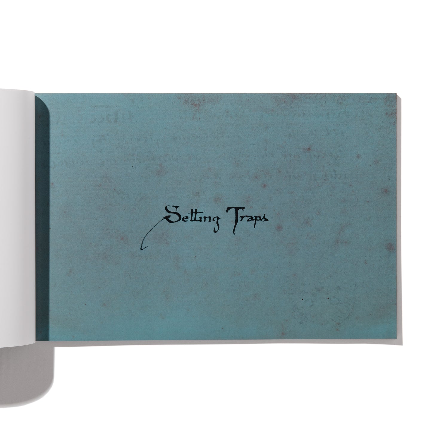 SETTING TRAPS - Jessica Canje