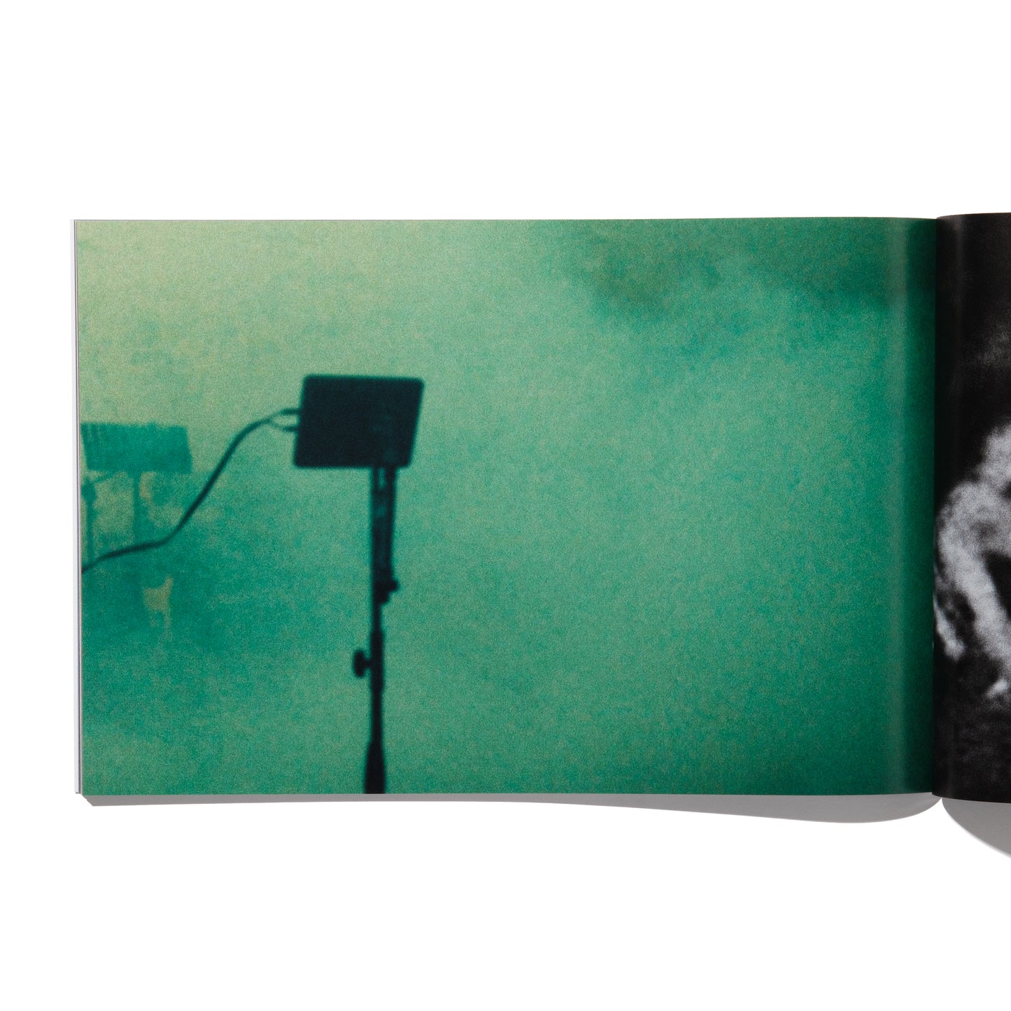 SETTING TRAPS - Jessica Canje