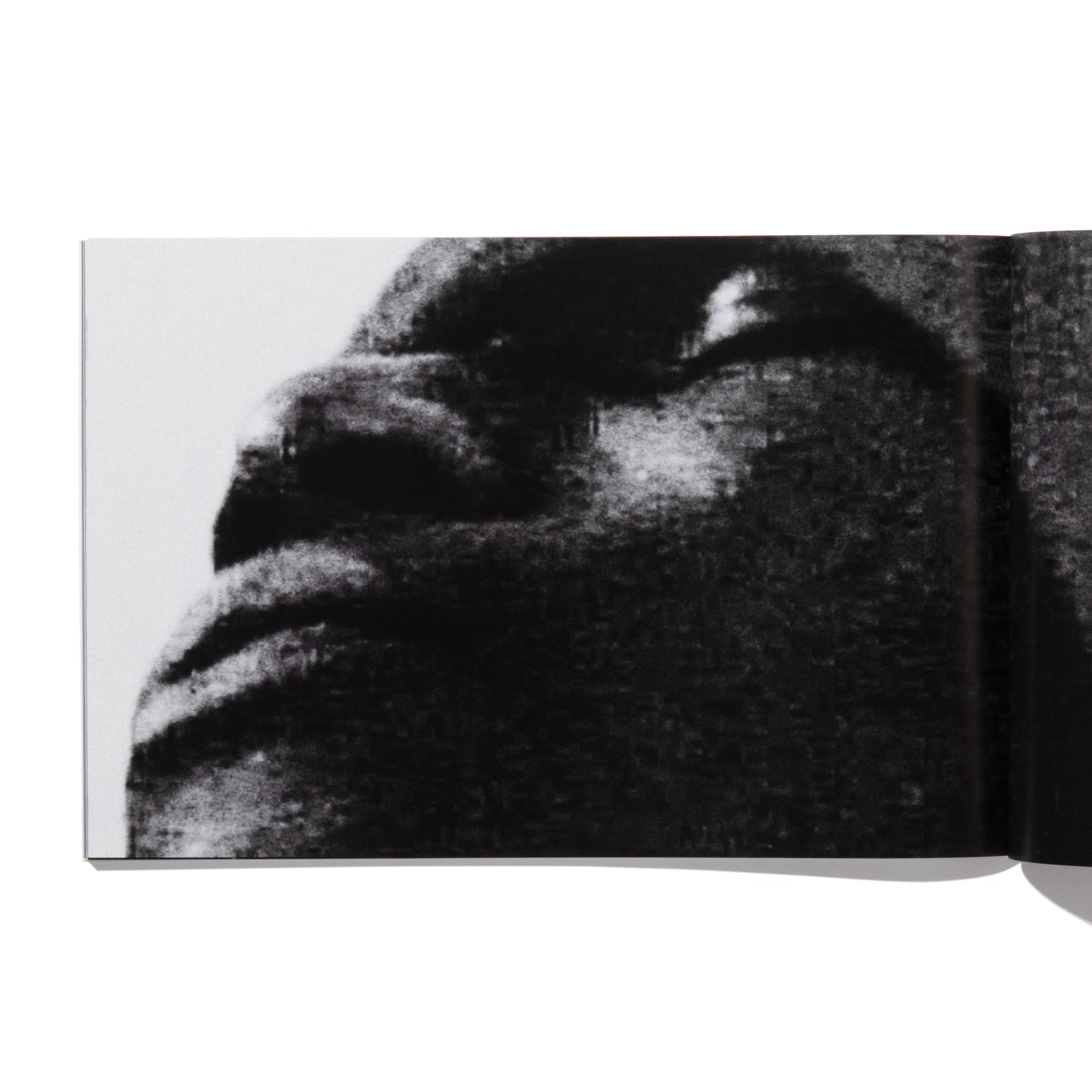 SETTING TRAPS - Jessica Canje