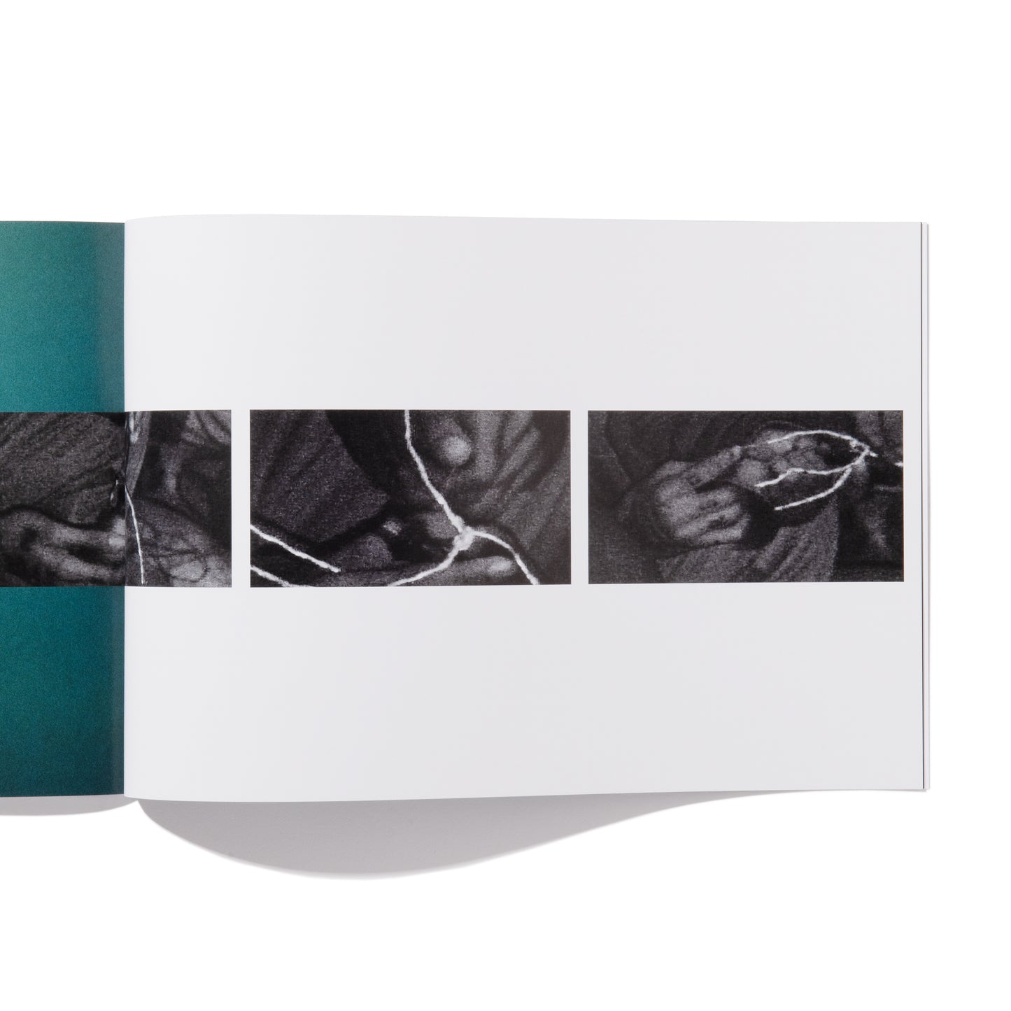 SETTING TRAPS - Jessica Canje