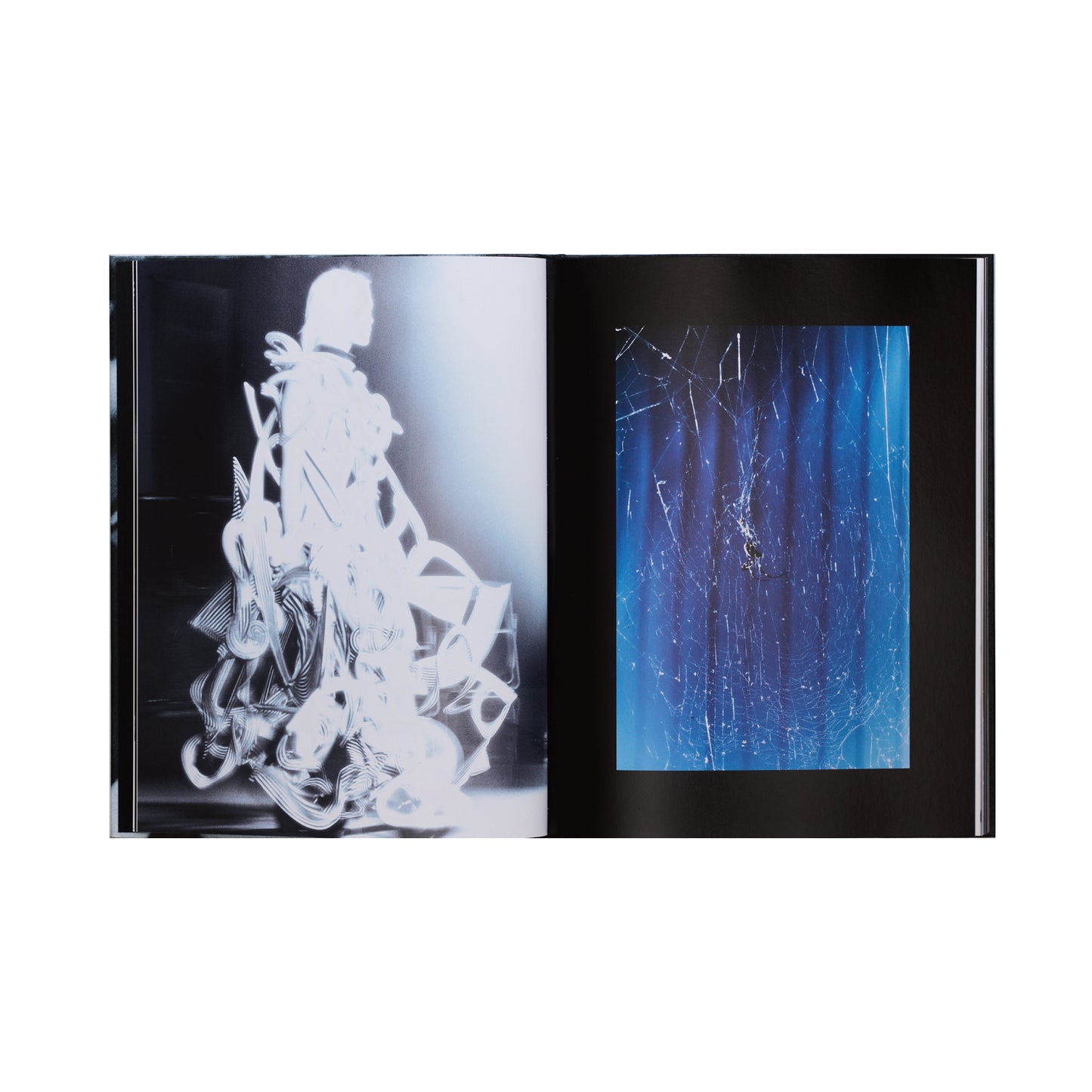 SHADOWS - John Clayton Lee